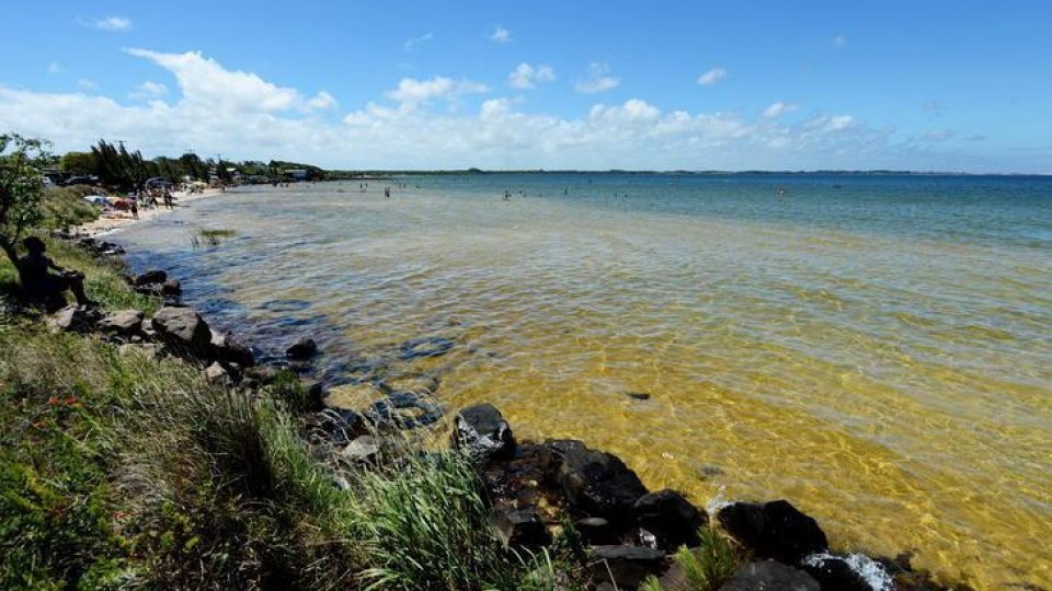 Lagoa do Bacupari – Água doce, morna e cristalina - Foto 6