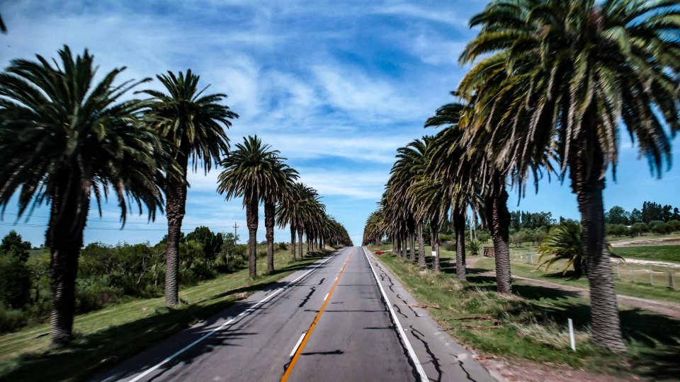 Tesouros do Uruguai: Punta, Colonia e Montevideo - Foto 28