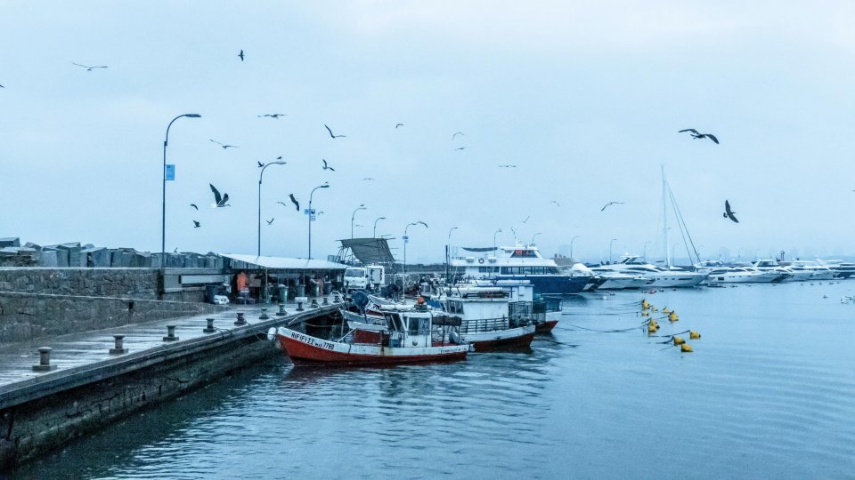 Tesouros do Uruguai: Punta, Colonia e Montevideo - Foto 20