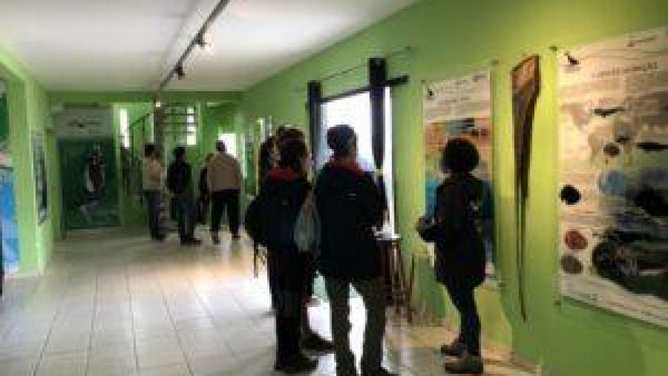 Passeio Ferroviário - Expresso Baleia Franca - Foto 12