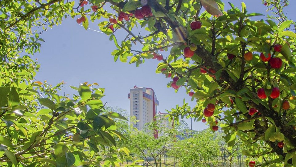 Recanto Maestro e Termas Romanas - Meia Pensão - Foto 17