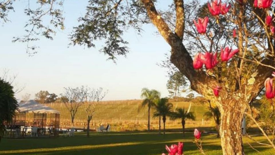 Recanto Maestro e Termas Romanas - Meia Pensão - Foto 14