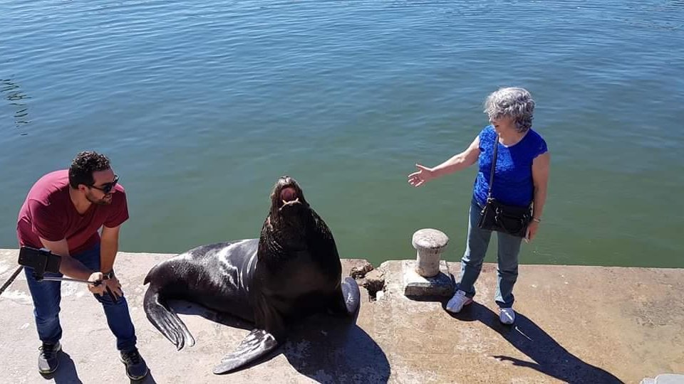 Feriado no Uruguai - Punta, Colonia e Montevideo - Foto 21