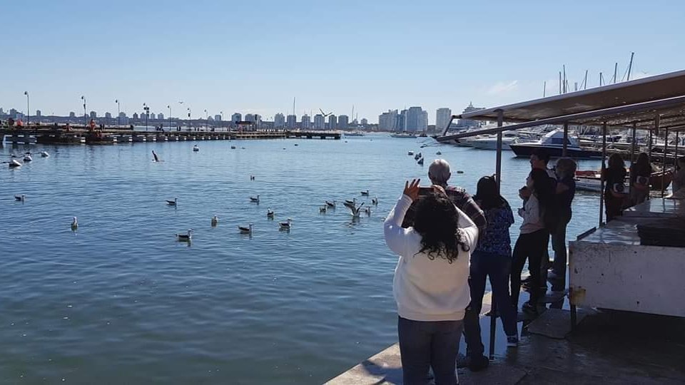 Feriado no Uruguai - Punta, Colonia e Montevideo - Foto 18