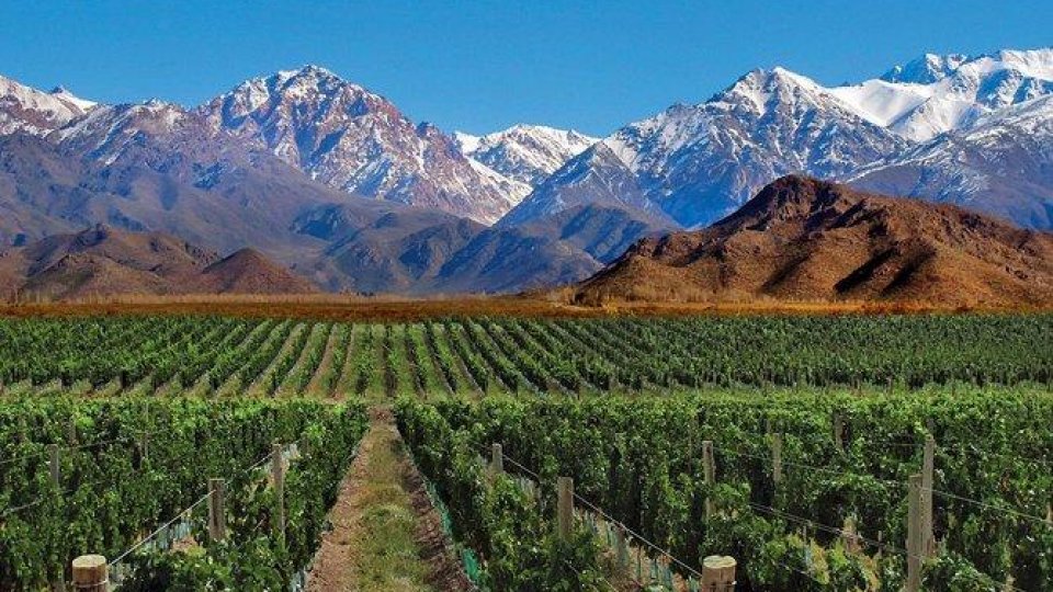 Chile e Argentina - 13 dias - Foto 8