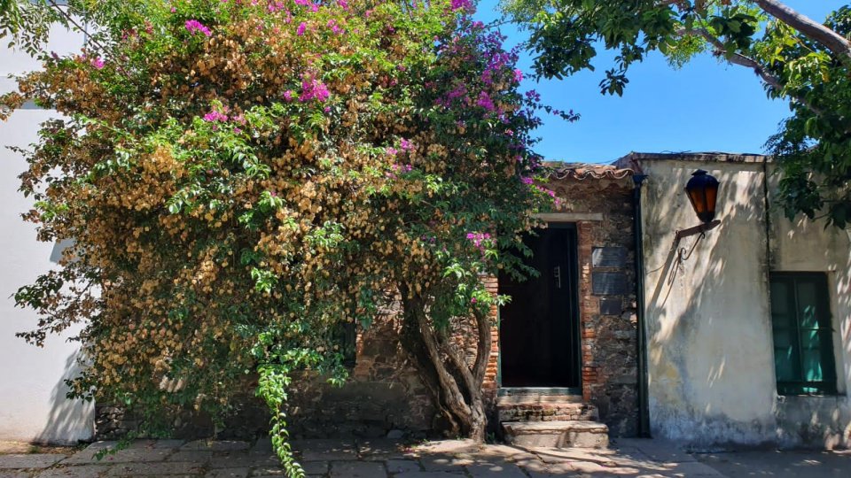 Colônia del Sacramento – Charme, história e sabores do Uruguai - Foto 14