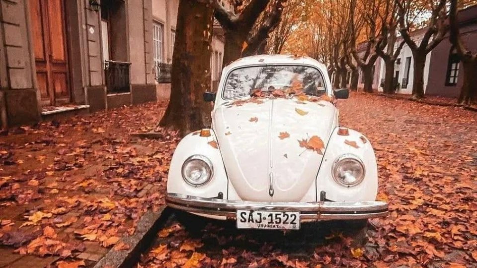 Colônia del Sacramento – Charme, história e sabores do Uruguai - Foto 38