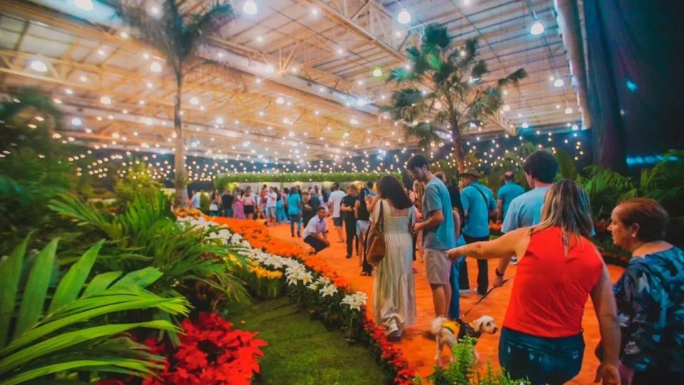 Joinville Festa das Flores com Barco Príncipe - Foto 2