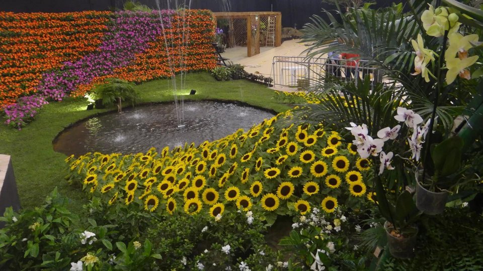Joinville Festa das Flores com Barco Príncipe - Foto 3