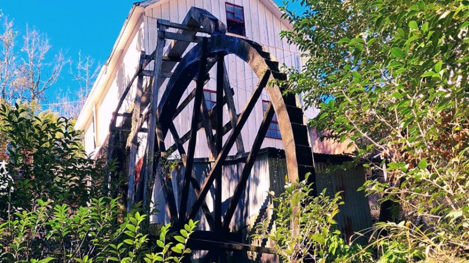 Fenamassa - Antônio Prado - Feriado - Foto 9