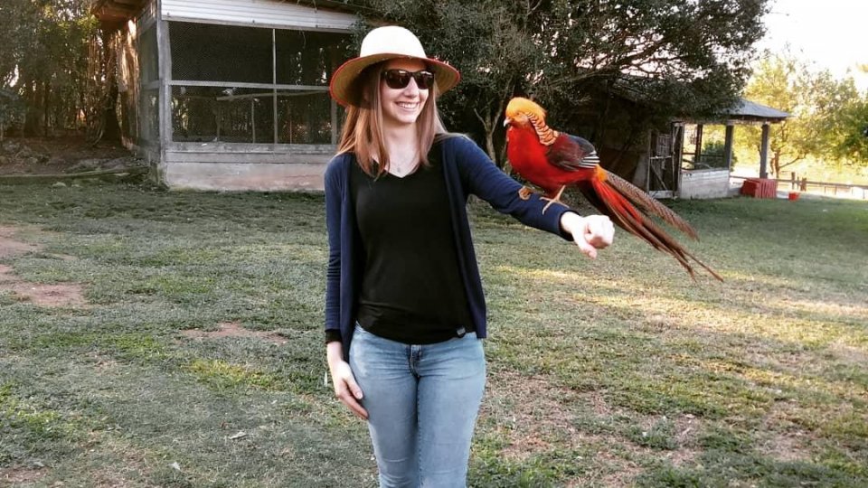 Fenamassa - Antônio Prado - Feriado - Foto 11