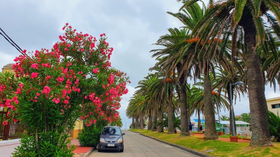 Feriadão no Uruguai: Punta, Colonia e Montevideo - Foto 30