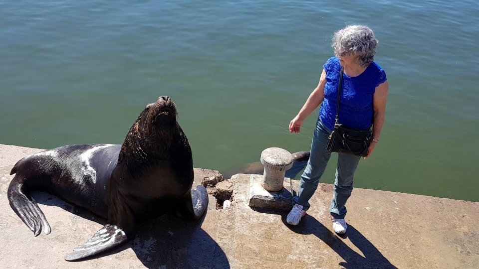 Uruguai - Férias de Julho - Foto 40