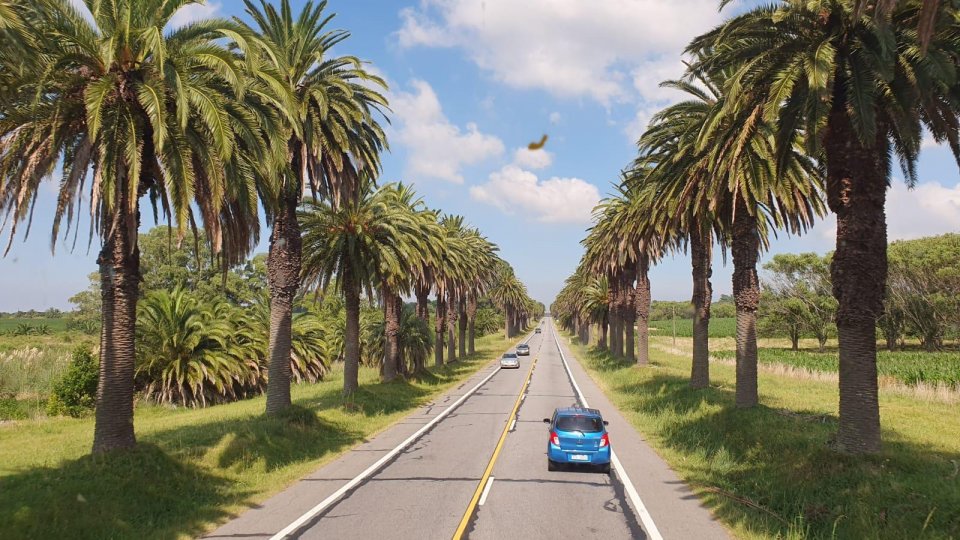 Uruguai - Férias de Julho - Foto 44