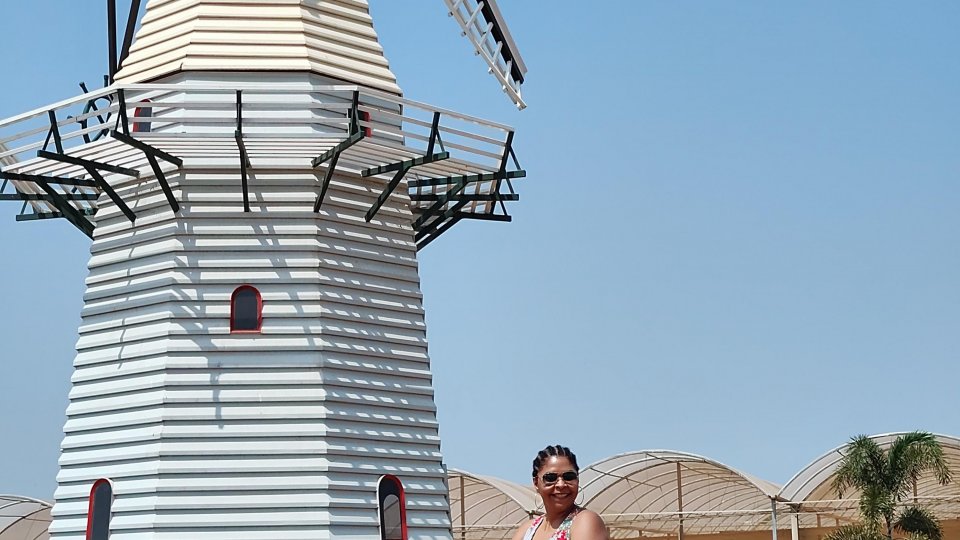 Expoflora - Holambra e Itu - Foto 10