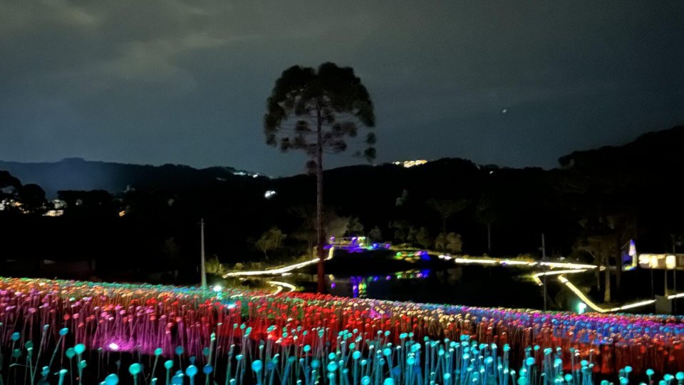 Wyndham Gramado Termas Resort & SPA - Festa da Colônia - Foto 6