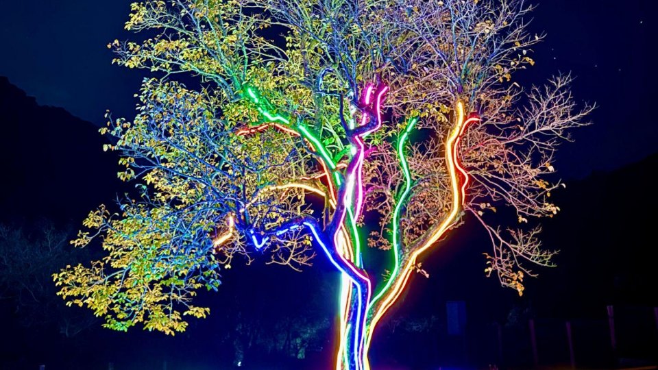 Wyndham Gramado Termas Resort & SPA - Festa da Colônia - Foto 7