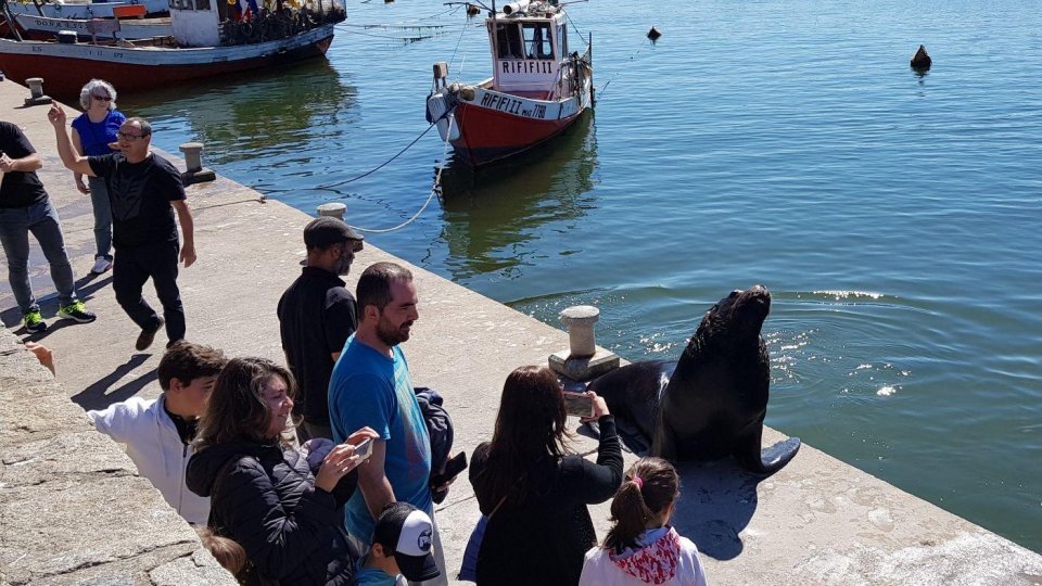 Feriado no Uruguai - Punta, Colonia e Montevideo - Foto 5