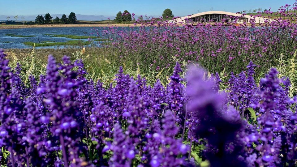 Mátria e São Francisco de Paula - Foto 2