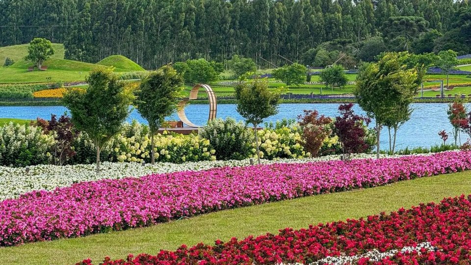 Mátria e São Francisco de Paula - Foto 4