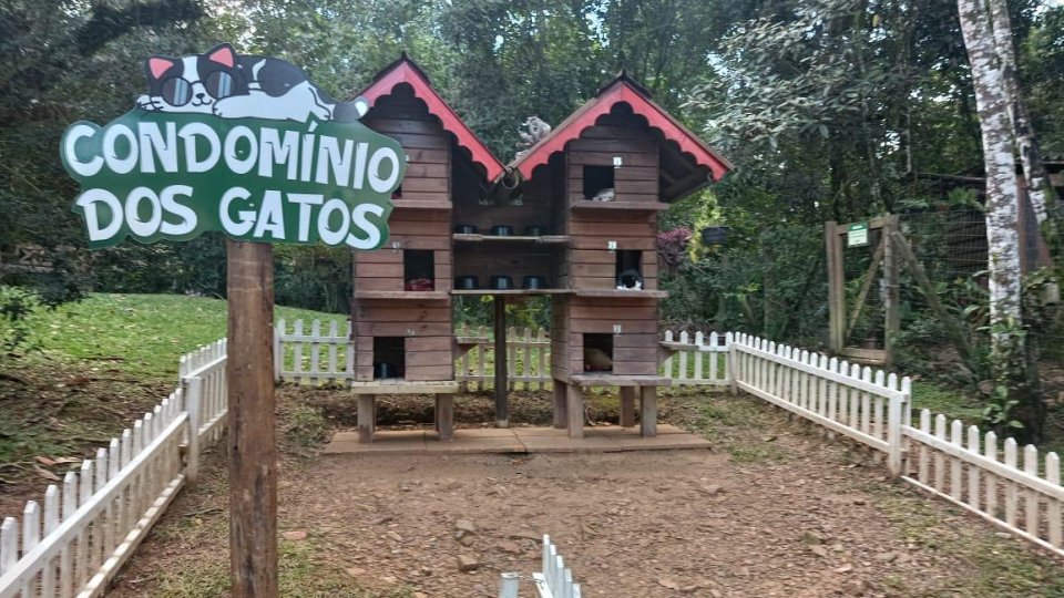 Carnevale di Venezia e Festa da Gastronomia Típica Italiana - Foto 8