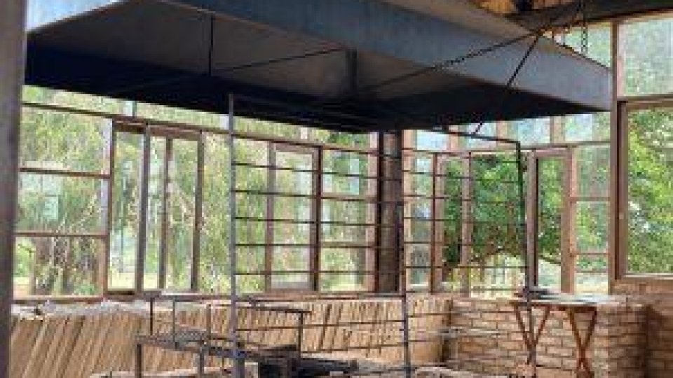 Rota dos Butiazais - Tapes/RS - Foto 2