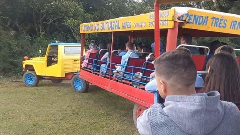 Rota dos Butiazais - Tapes/RS - Foto 6