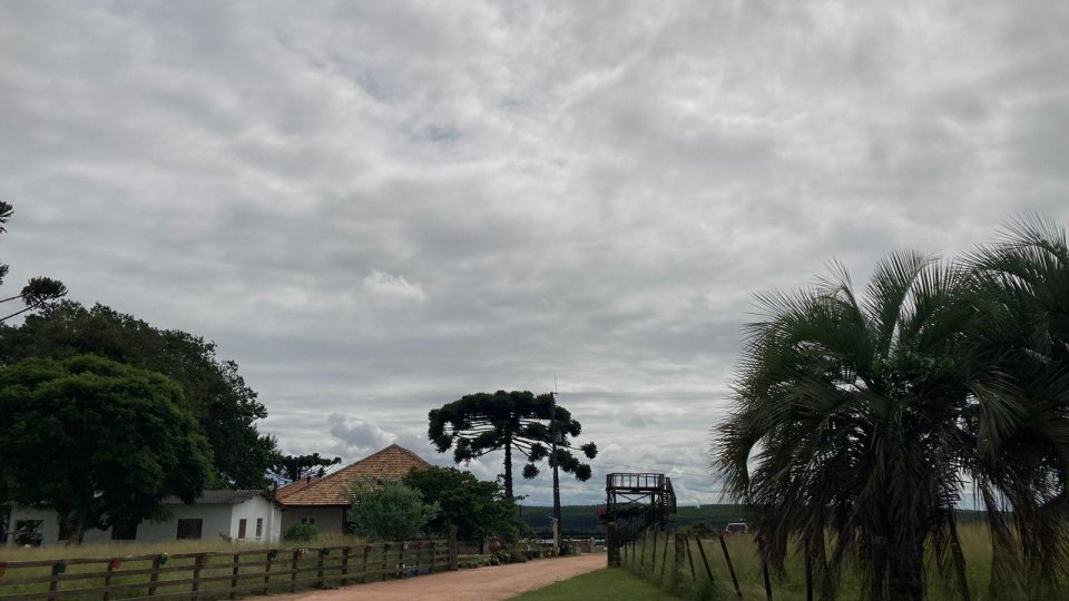 Rota dos Butiazais - Tapes/RS - Foto 2