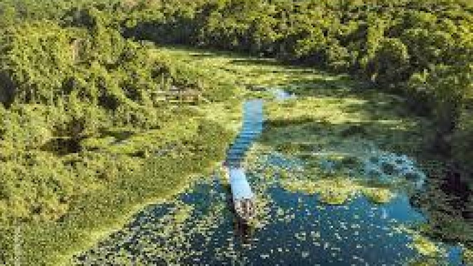 Bonito e Pantanal - Foto 8