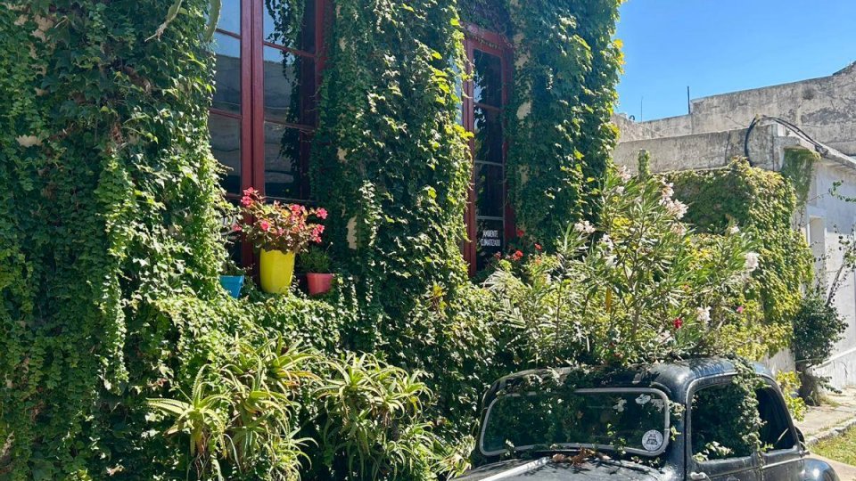 Réveillon no Uruguai: Montevidéu e Colonia del Sacramento - Foto 46