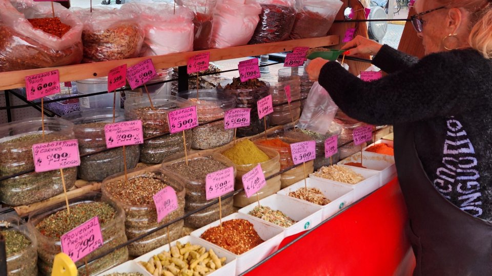 Buenos Aires, Tigre e Campanópolis - Férias - Foto 16