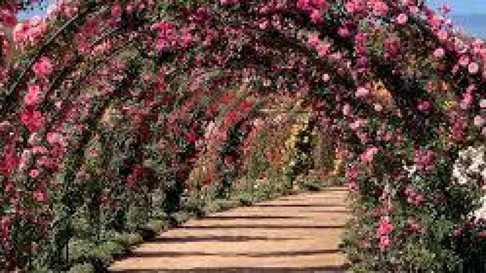 Mátria e São Francisco de Paula - Foto 5