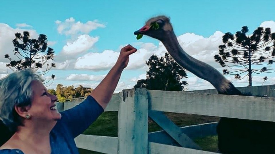 Antônio Prado: Um Retorno ao Passado com o Autêntico Filó - Foto 5