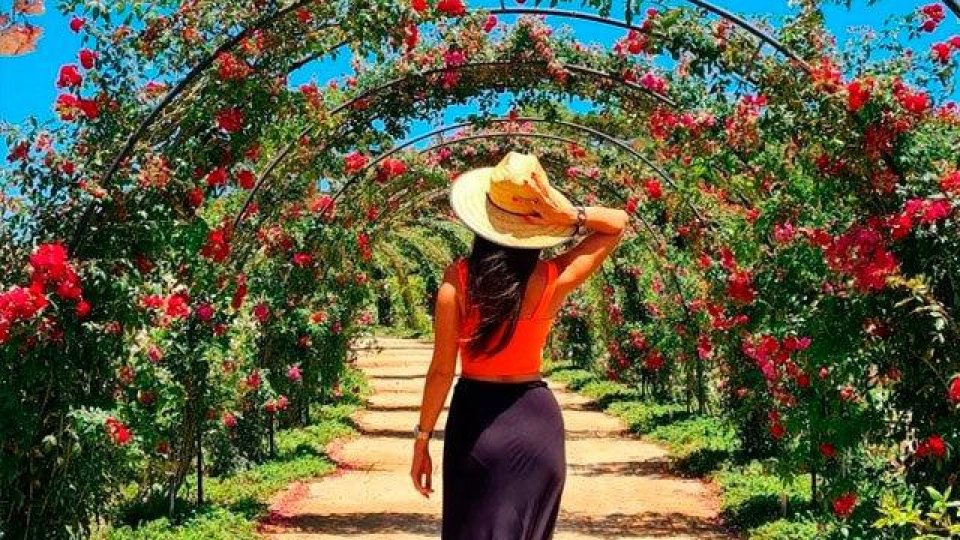 Mátria e São Francisco de Paula - Foto 22