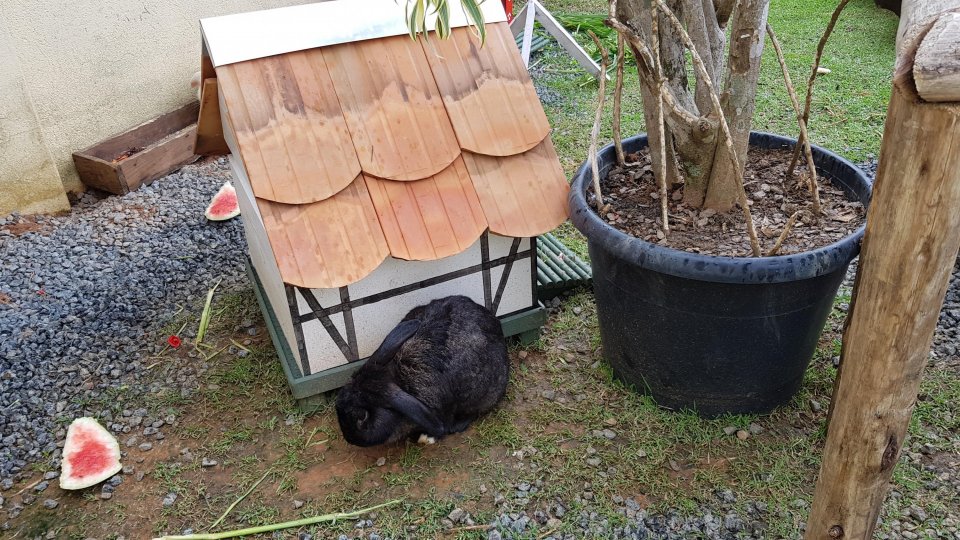 Osterfest Pomerode e Blumenau - Foto 24