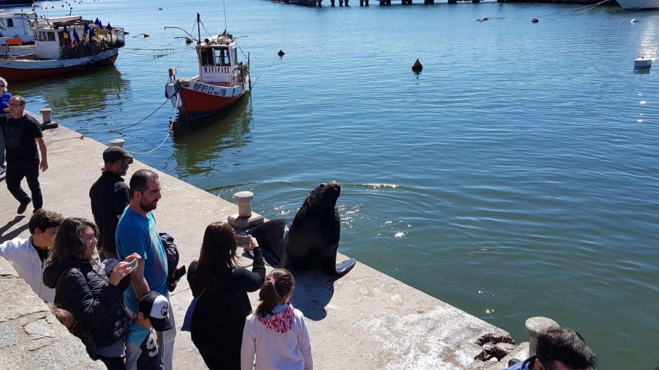 Feriado no Uruguai - Punta, Colonia e Montevideo - Foto 19
