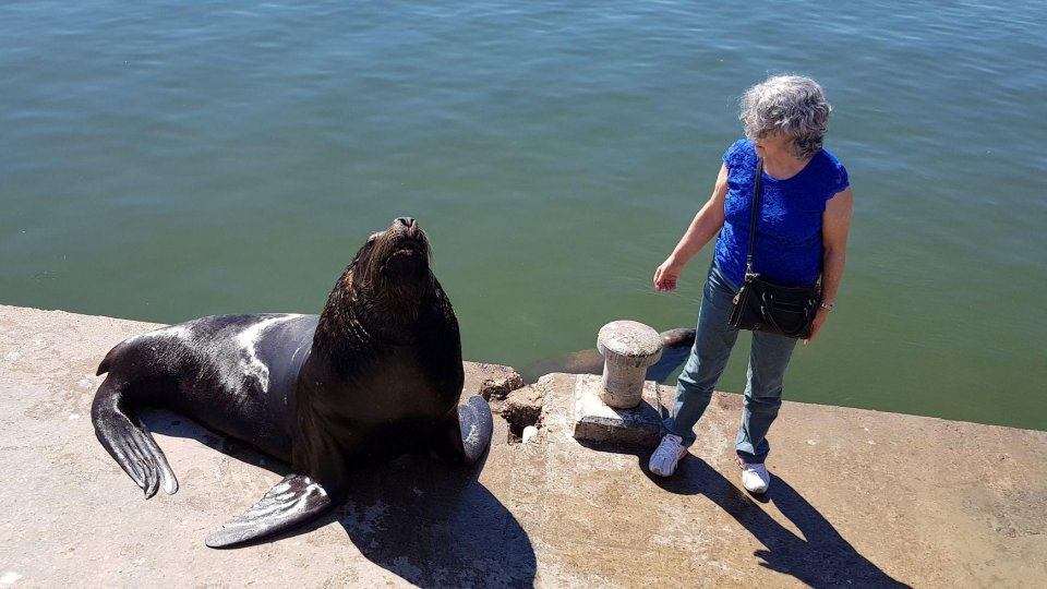 Feriado no Uruguai - Punta, Colonia e Montevideo - Foto 20
