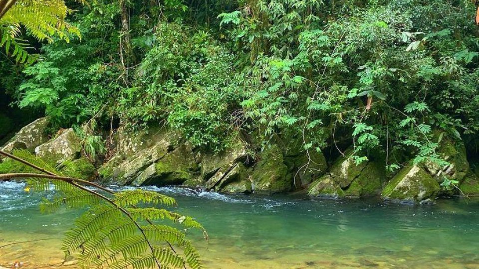 Cavernas Gigantes | PETAR/SP, Buraco do Padre e Vila Velha/PR - Foto 8