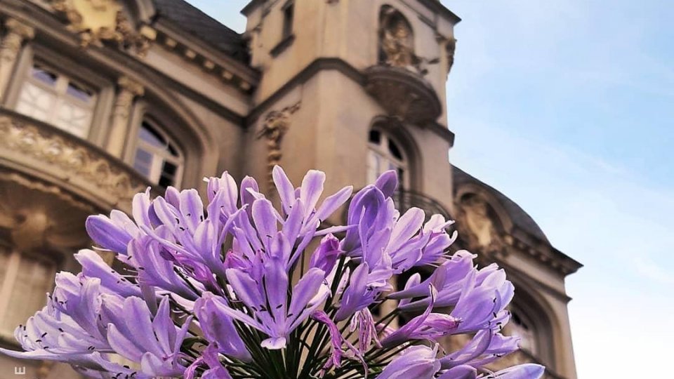 Curitiba e Trem Caiçara - Foto 1