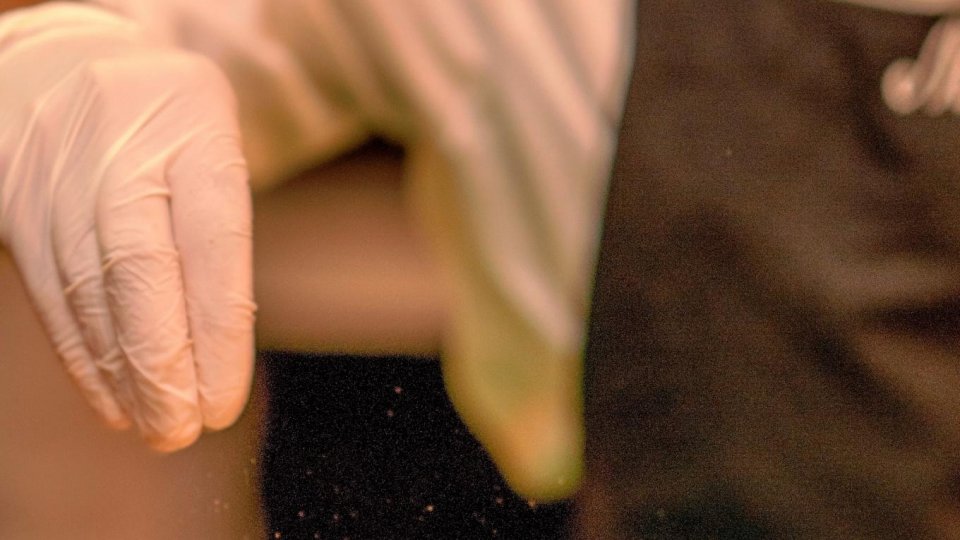 Arapey Thermal Resort – Uruguai - Foto 13