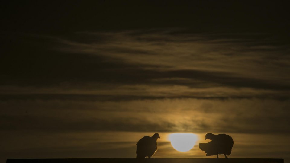 Arapey Thermal Resort – Uruguai - Foto 25