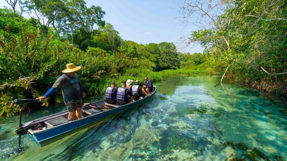Bonito e Pantanal - Foto 12