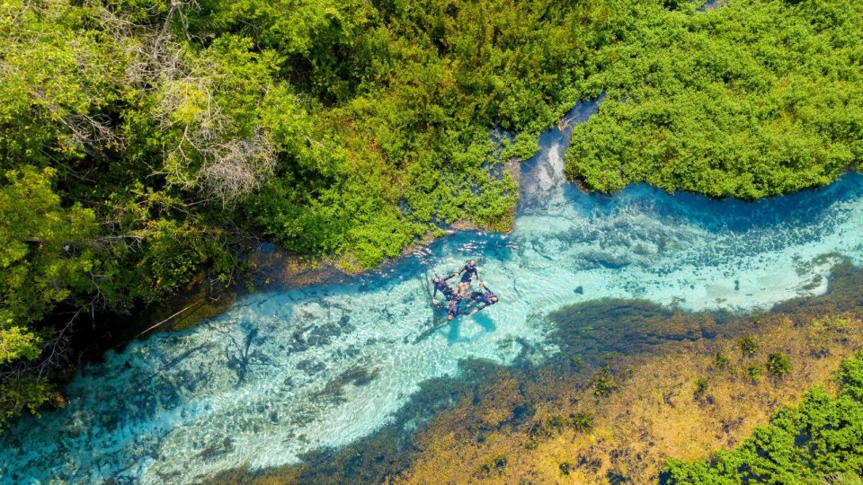 Bonito e Pantanal - Foto 13