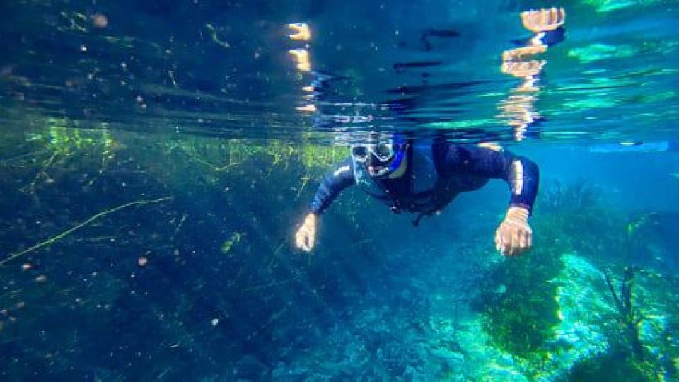 Bonito e Pantanal - Foto 15