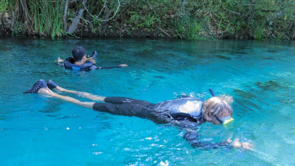 Bonito e Pantanal - Foto 16