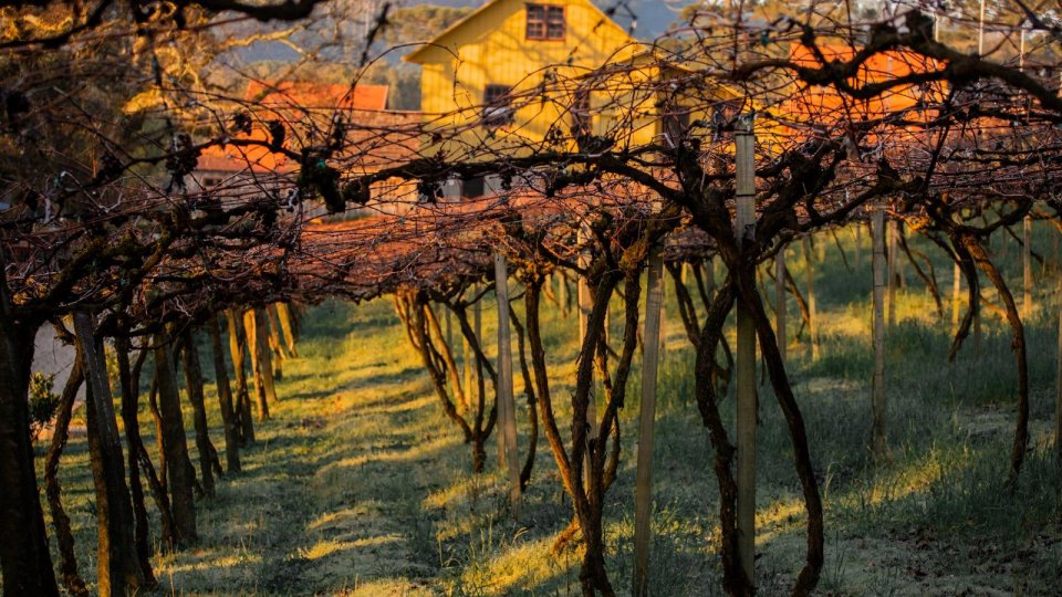 Villa dei Troni – Uma Viagem à Itália da Serra Gaúcha - Foto 12