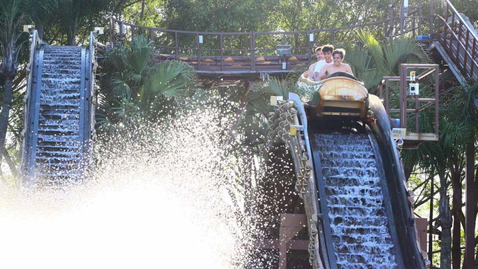 Beto Carrero World com Pernoite - Foto 4