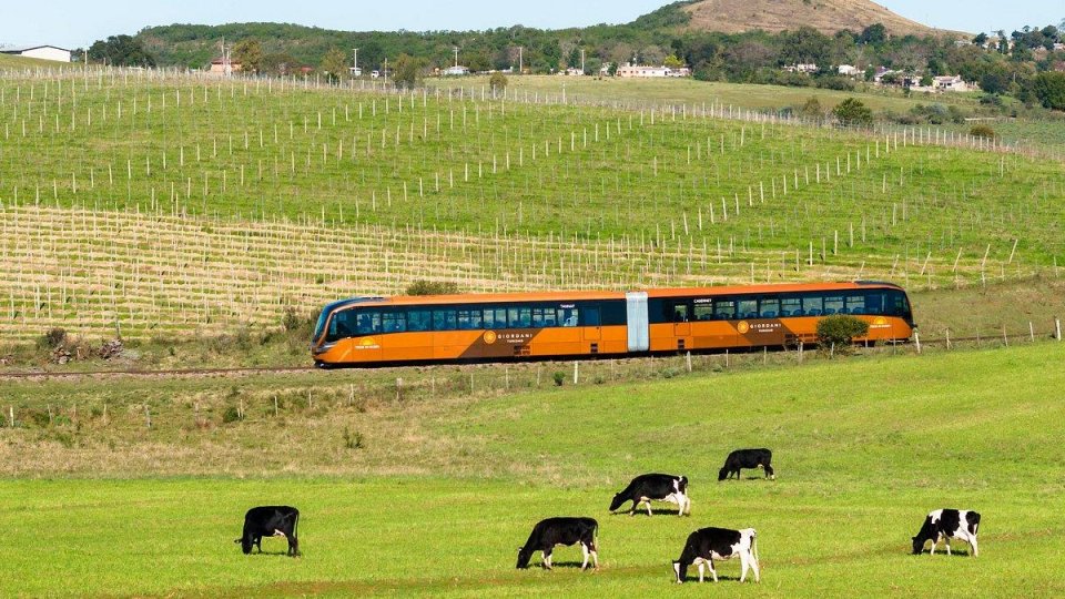 Trem do Pampa e Rivera - Foto 5