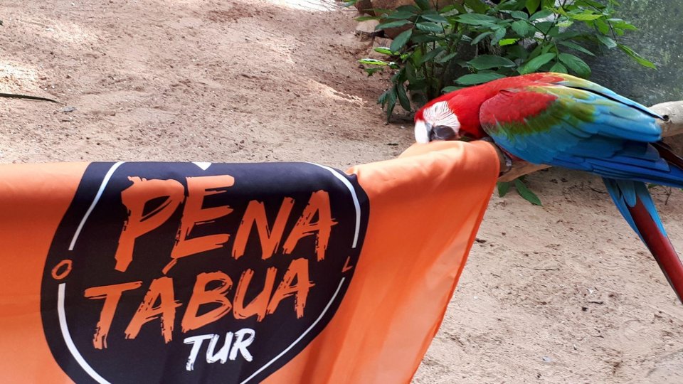 Foz do Iguaçu - Foto 11